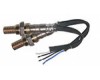 Oxygen Sensors [02]