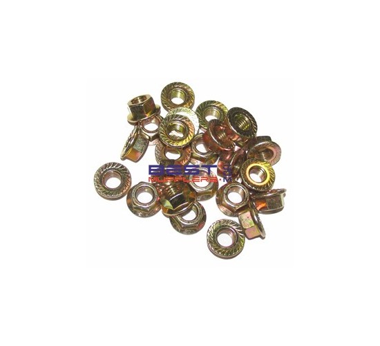 Exhaust Manifold Nuts [25]  M10 x 1.5 Great Quality. ShopOnline